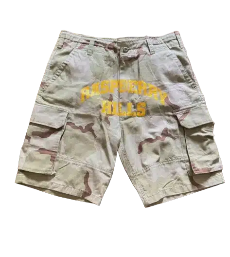 Screenshot_2024-06-27_at_4.46.23_PM-removebg-preview.webp Raspberry Hills Light Camo Shorts - Image 1